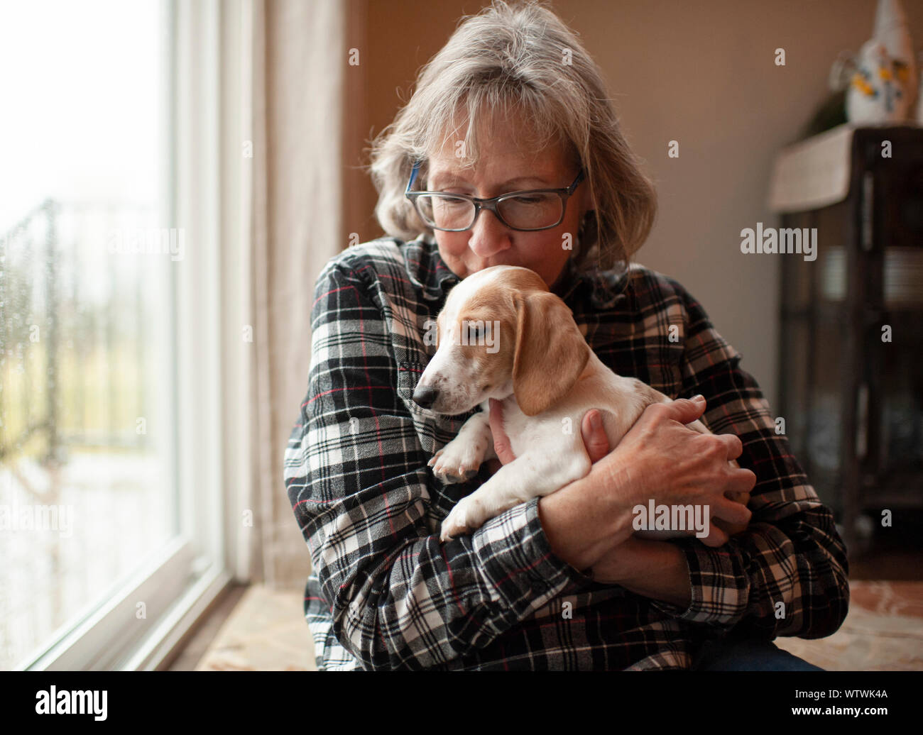 60 anno vecchia donna baciare il suo cucciolo in casa seduta dalla finestra Foto Stock