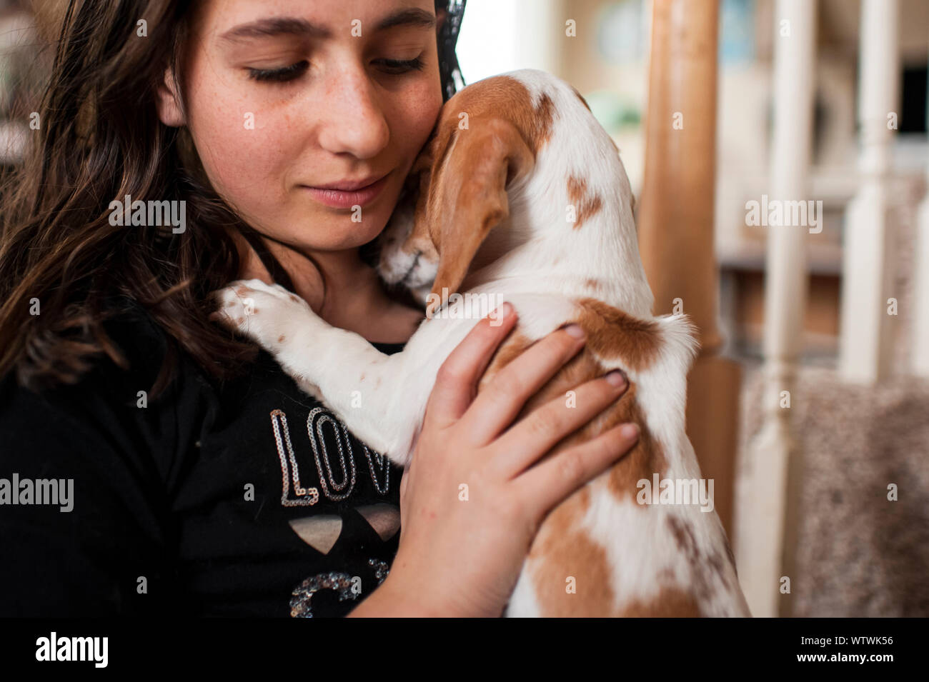 Ragazza 10-12 holding e abbracciando nuovi bassotto cucciolo in casa Foto Stock