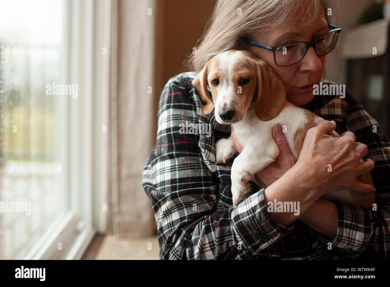 Senior avvolge il suo nuovo cucciolo bassotto strettamente a casa accanto alla finestra Foto Stock