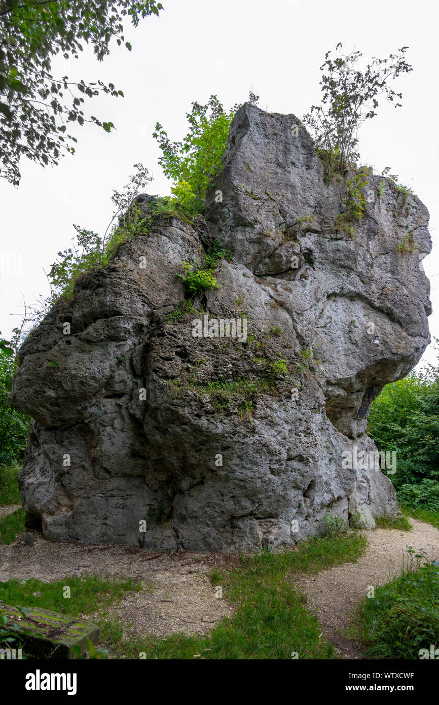 Germania, Steinheim am Albuch, i 8 m di altezza Wäldlesfels sulla sommità del Steinhirt è il risultato di un meteorite impatto 14 milioni di anni fa. Foto Stock