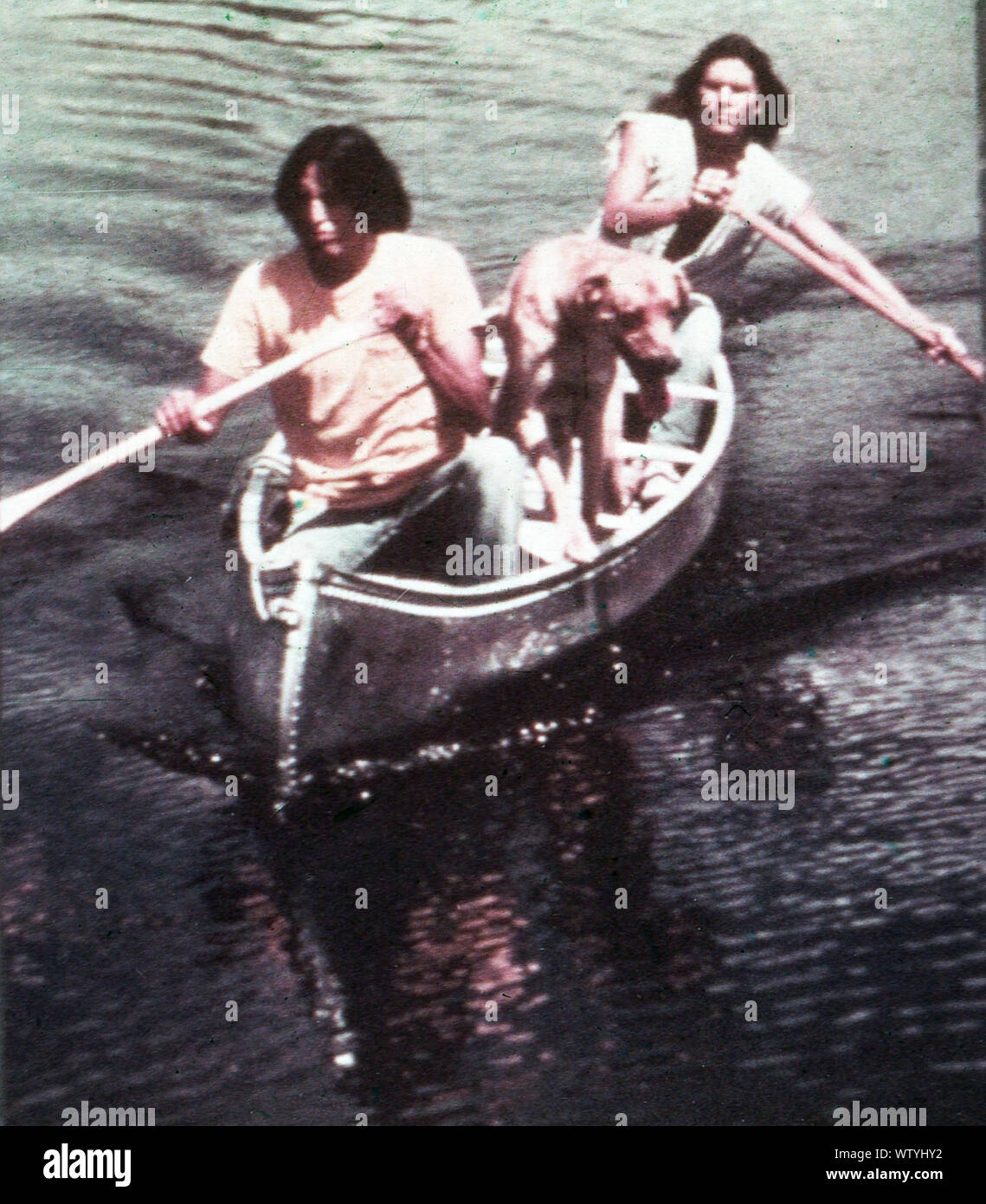 Joe Panther aka Joe alligatore, USA, 1976, Regie: Paul Krasny, Darsteller: Brian Keith, Ricardo Montalban, Alan Feinstein Foto Stock