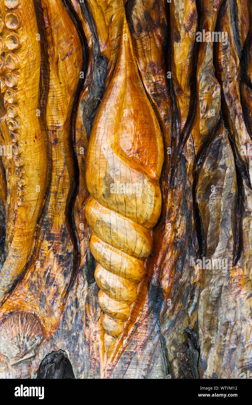Dettaglio di una grande scultura in legno (Albero della Vita) creato da un albero morto al di fuori dell'angolo della St Anne's Park, vicino a Bull Island, Raheny, Irlanda Foto Stock