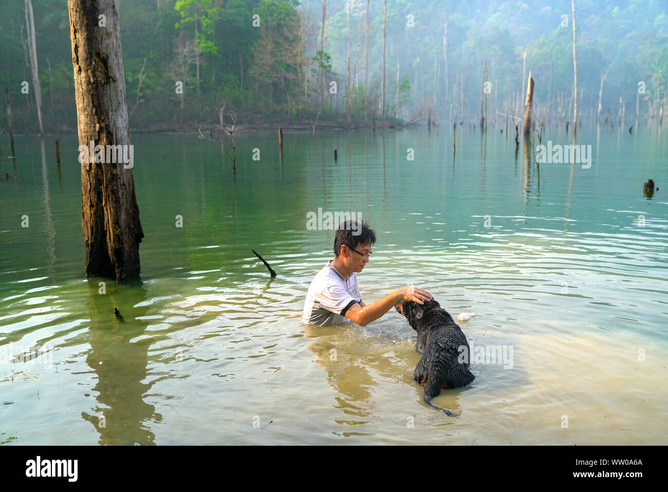 Uomo di giocare e nuotare con il cane in un lago. Ricreazione e svago del concetto. Foto Stock
