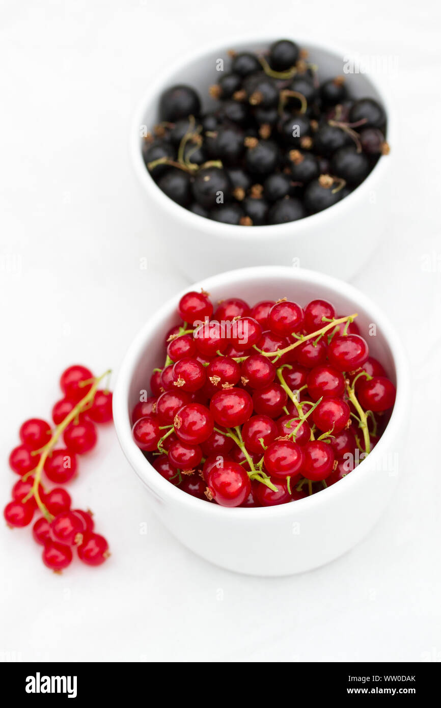 Ribes rosso e ribes nero in bianco bocce Foto Stock