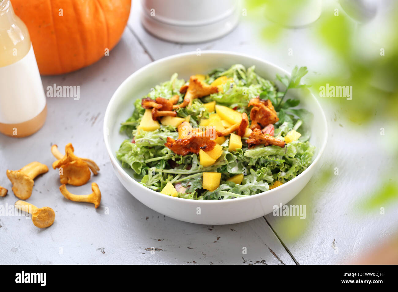 Insalata di autunno. Verde insalata di zucca con finferli marinati. Foto Stock