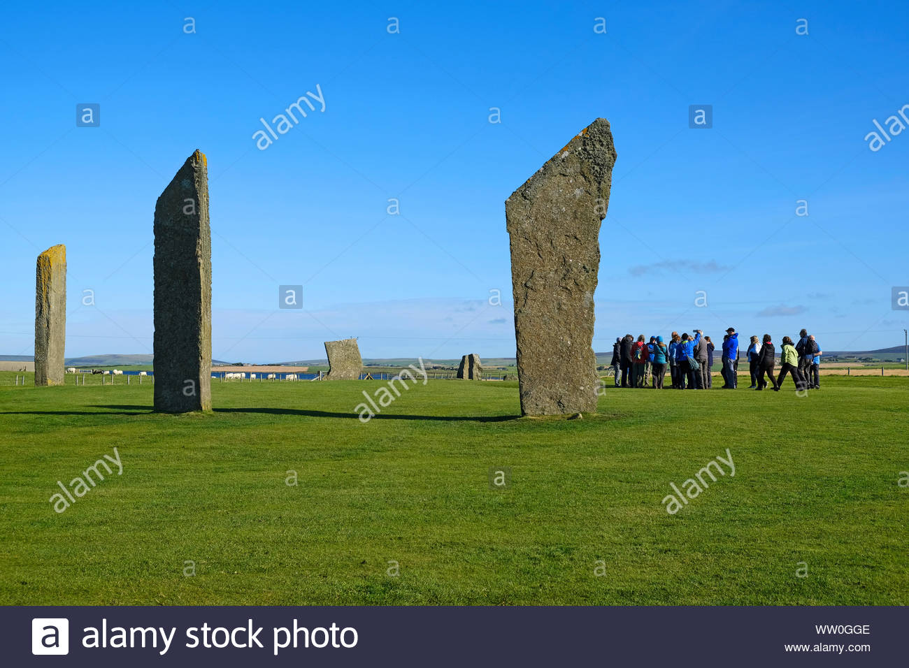 I visitatori a piedi le pietre di Stenness, un monumento del neolitico, cerchio di pietra e henge, isole Orcadi Scozia Scotland Foto Stock