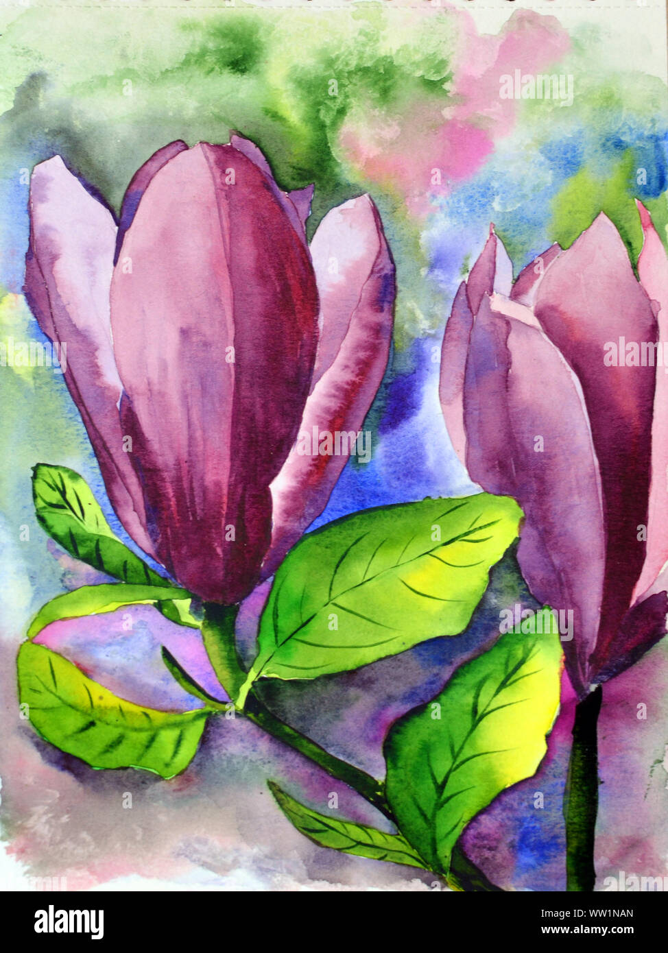 Due acquerello disegnati a mano fiori di magnolia con fiori di colore rosa e foglie verdi Foto Stock