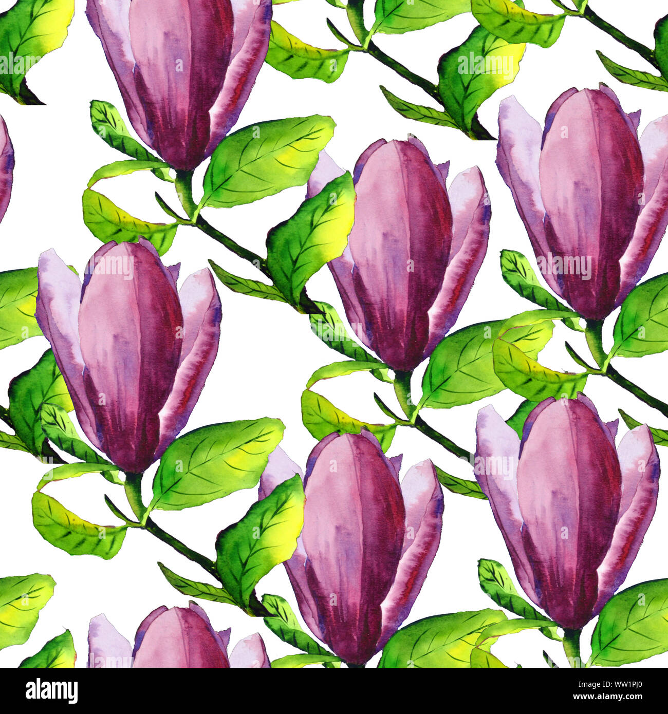 Acquerello disegnati a mano fiore di magnolia con fiori di colore rosa e foglie verdi seamless pattern isolati su sfondo bianco Foto Stock