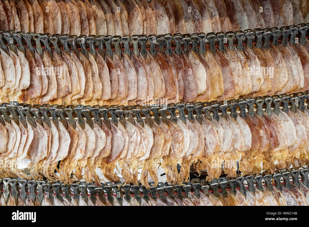 Calamaro asciugato, tradizionale tailandese calamari essiccazione close-up di stallo del mercato in Thailandia. Sfondo di frutti di mare Foto Stock