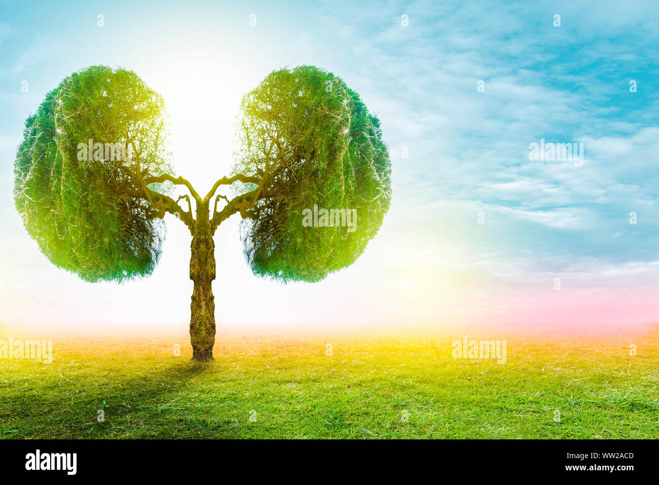 Polmone verde a forma di albero di immagini, concetti medici, autopsia, visualizzazione 3D e animali come un elemento Foto Stock