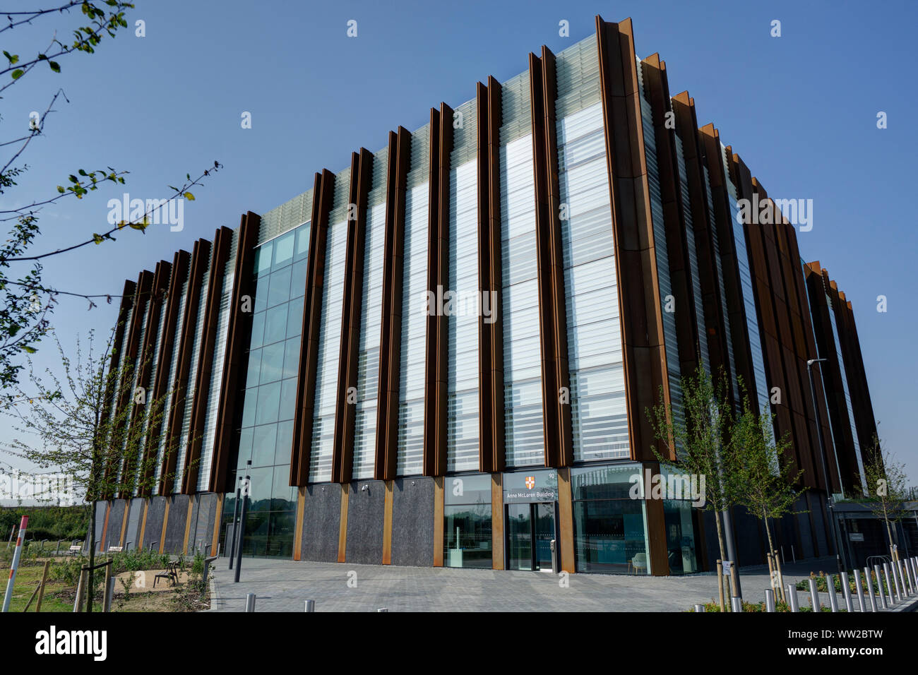 ann mclaren laboratorio cambridge campus biomedico Foto Stock