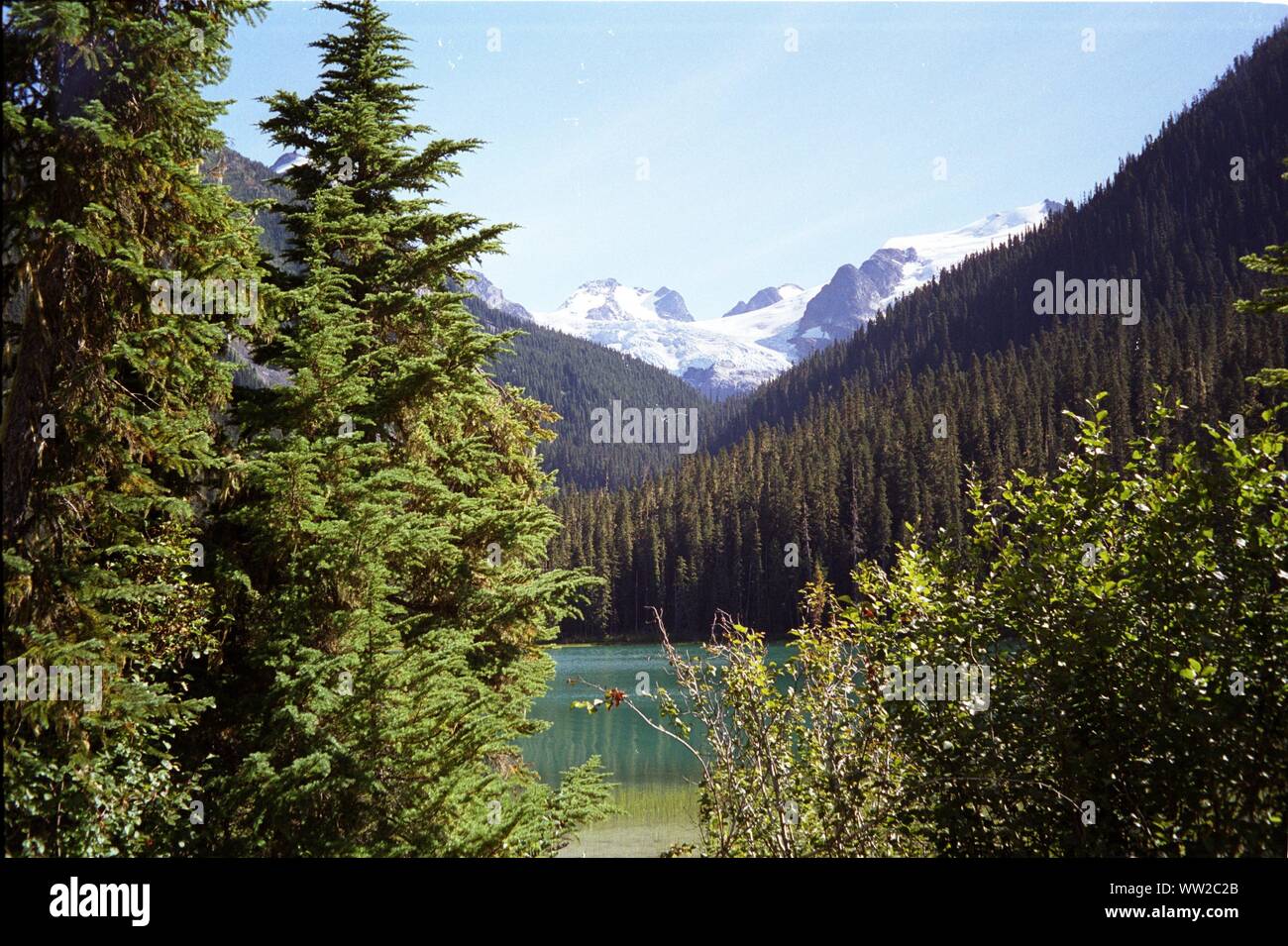 Joffre Laghi Parco provinciale si trova in British Columbia. Il Joffre laghi consistono del basso lago, centro lago e Lago Superiore. Dal lago superiore vi è una buona vista del ghiacciaio. I tre laghi sono collegati da un 5.5 km lungo percorso. Joffre Laghi Parco Provinciale; British Columbia; CanadaDate: Settembre 12, 2016 | Utilizzo di tutto il mondo Foto Stock