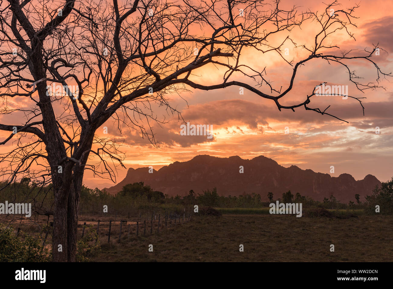 alba in un sacco di nuvole con albero morto di fronte e la signora in montagna Panthurat, thailandia Foto Stock