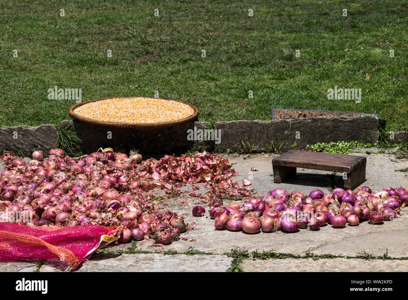 Onion essendo secchi conditi in backcountry nepalese Foto Stock