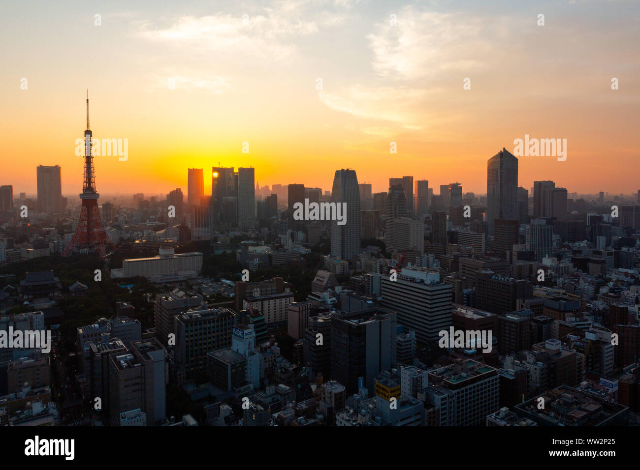 La Torre di Tokyo e grattacieli in Minato Ward Foto Stock