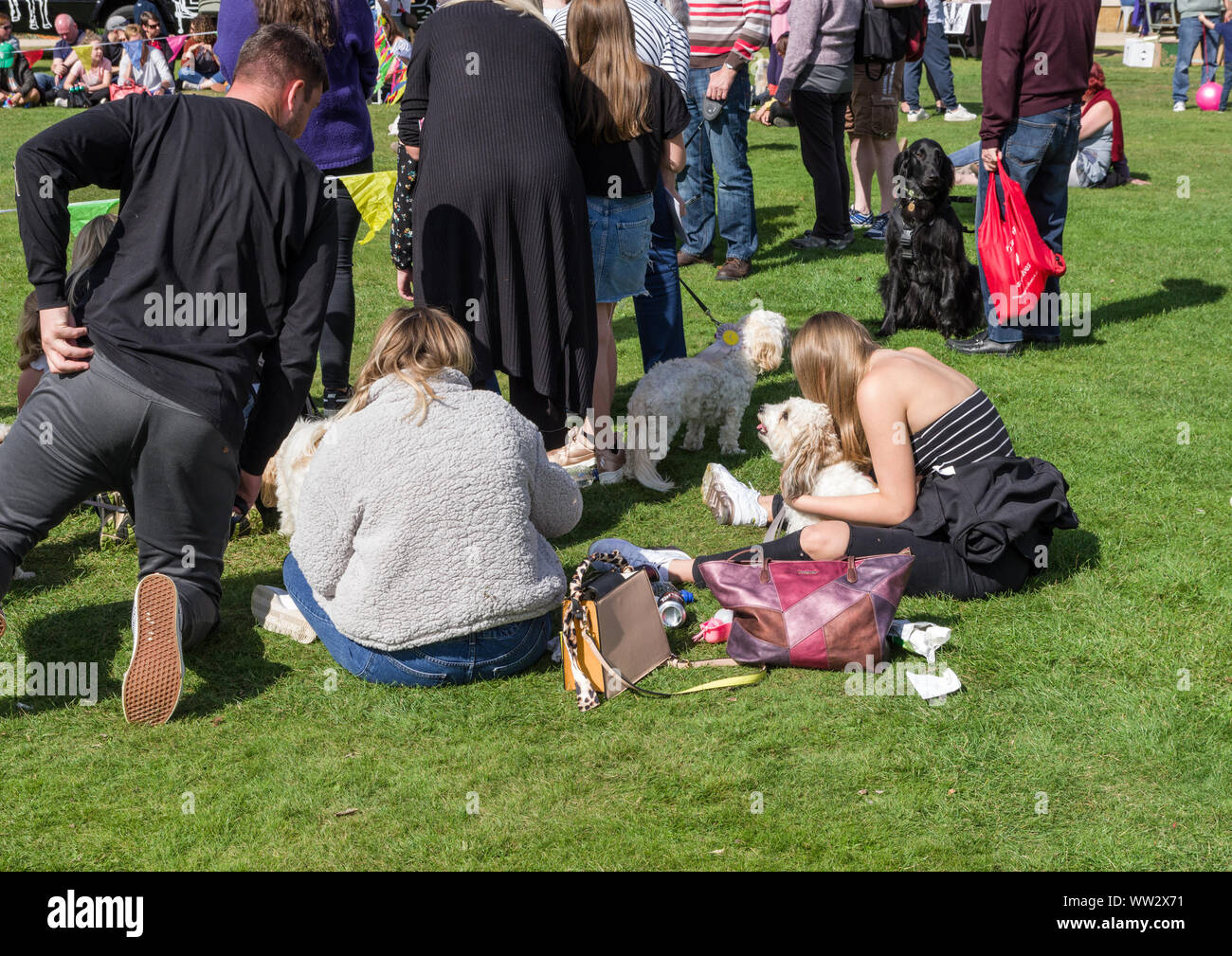 La folla ad un locale Dog Show in un assolato pomeriggio d'estate; Delapre Abbey, Northampton, Regno Unito Foto Stock