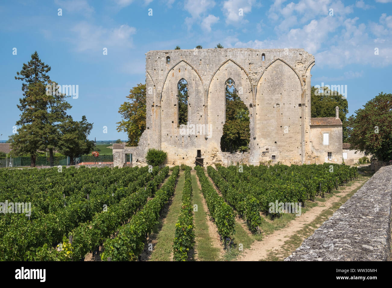 Le antiche rovine nel vigneto a Chateau Grandes Murailles in Saint-Emilion, Bordeaux, Francia Foto Stock