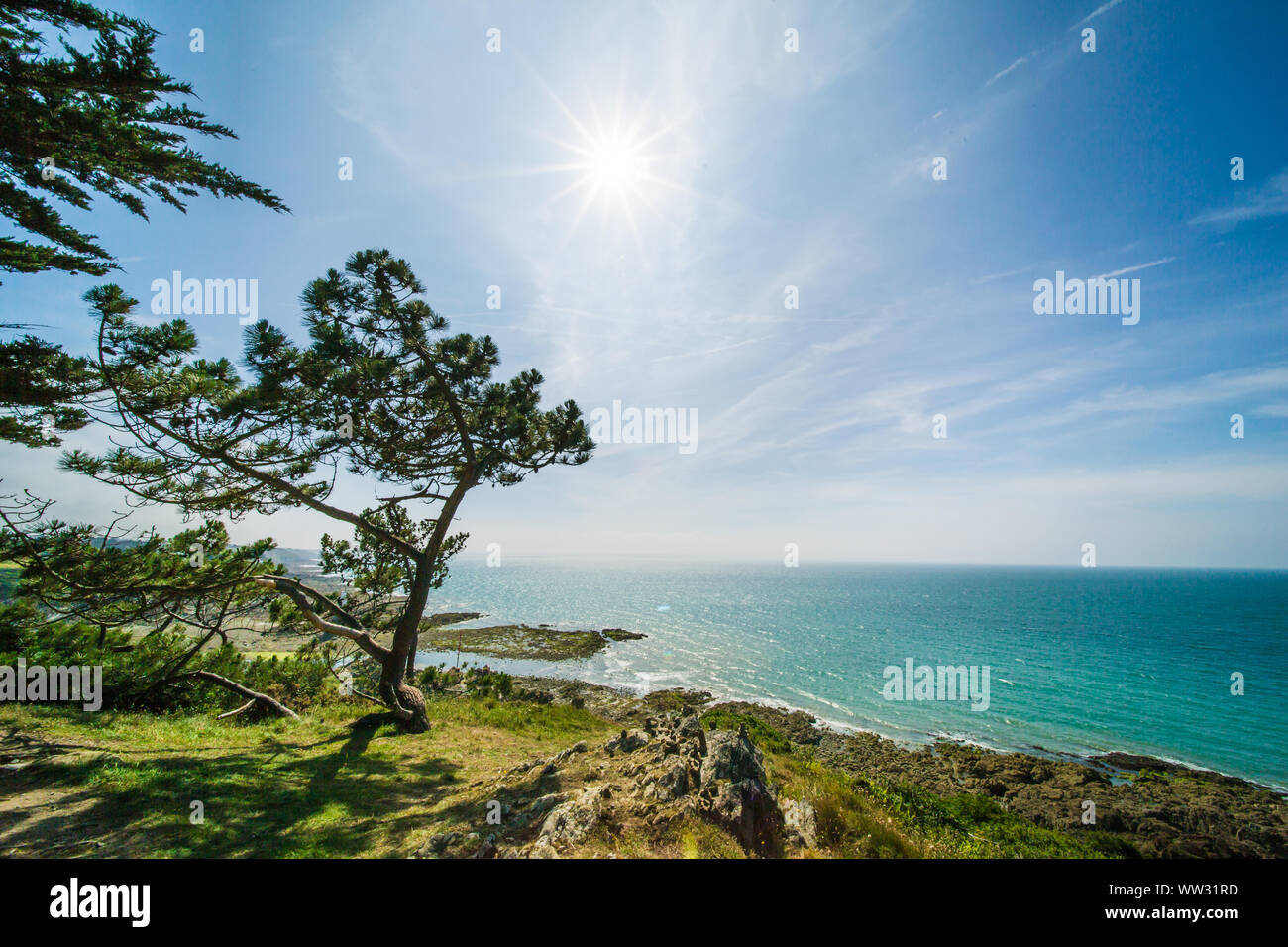 Oceano atlantico litorale con acqua turchese e alberi di pino su una soleggiata giornata estiva in Bretagna Francia Foto Stock