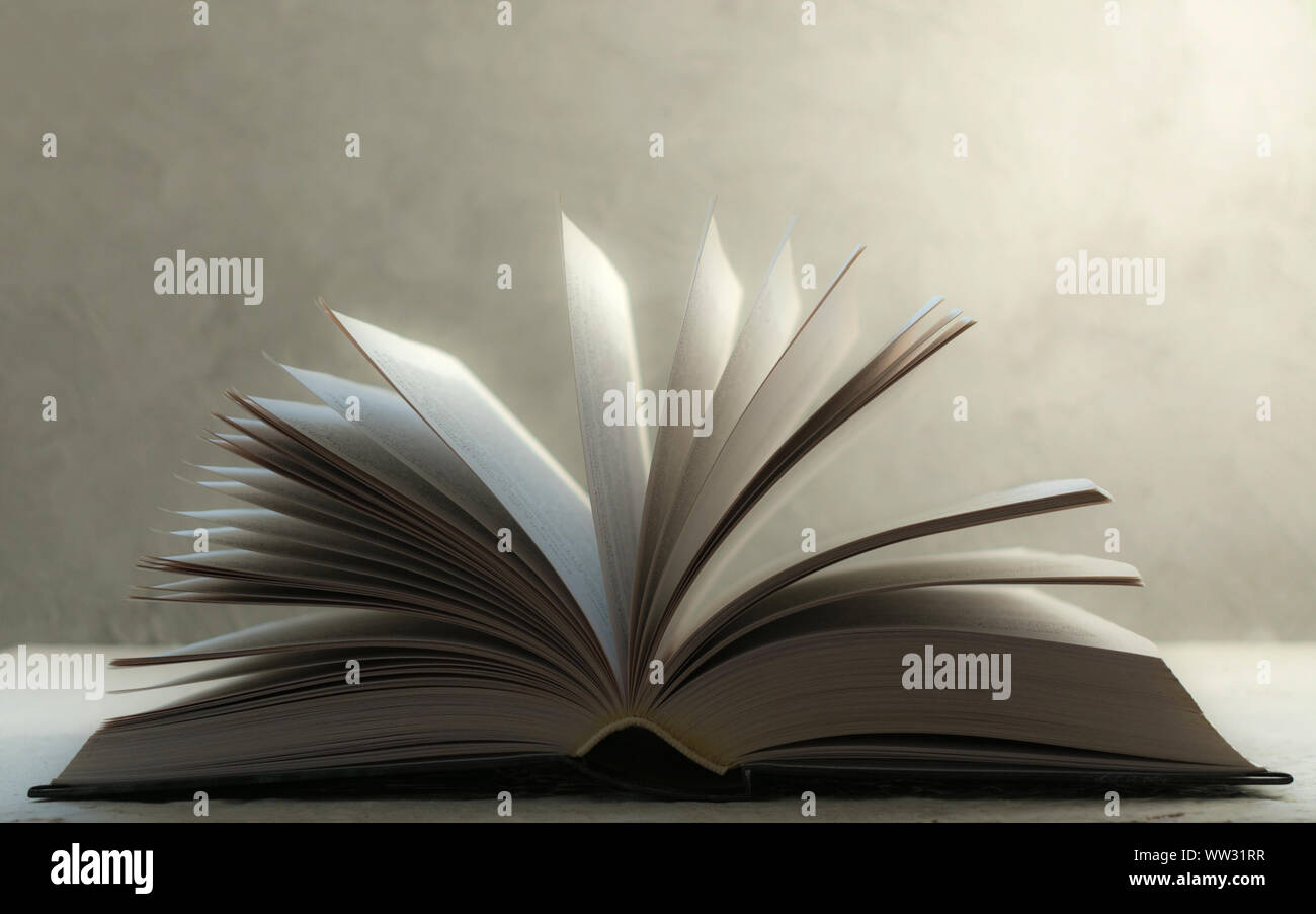 Libro aperto su sfondo grigio. Chiudere con messa a fuoco sfocato. Spazio di copia Foto Stock