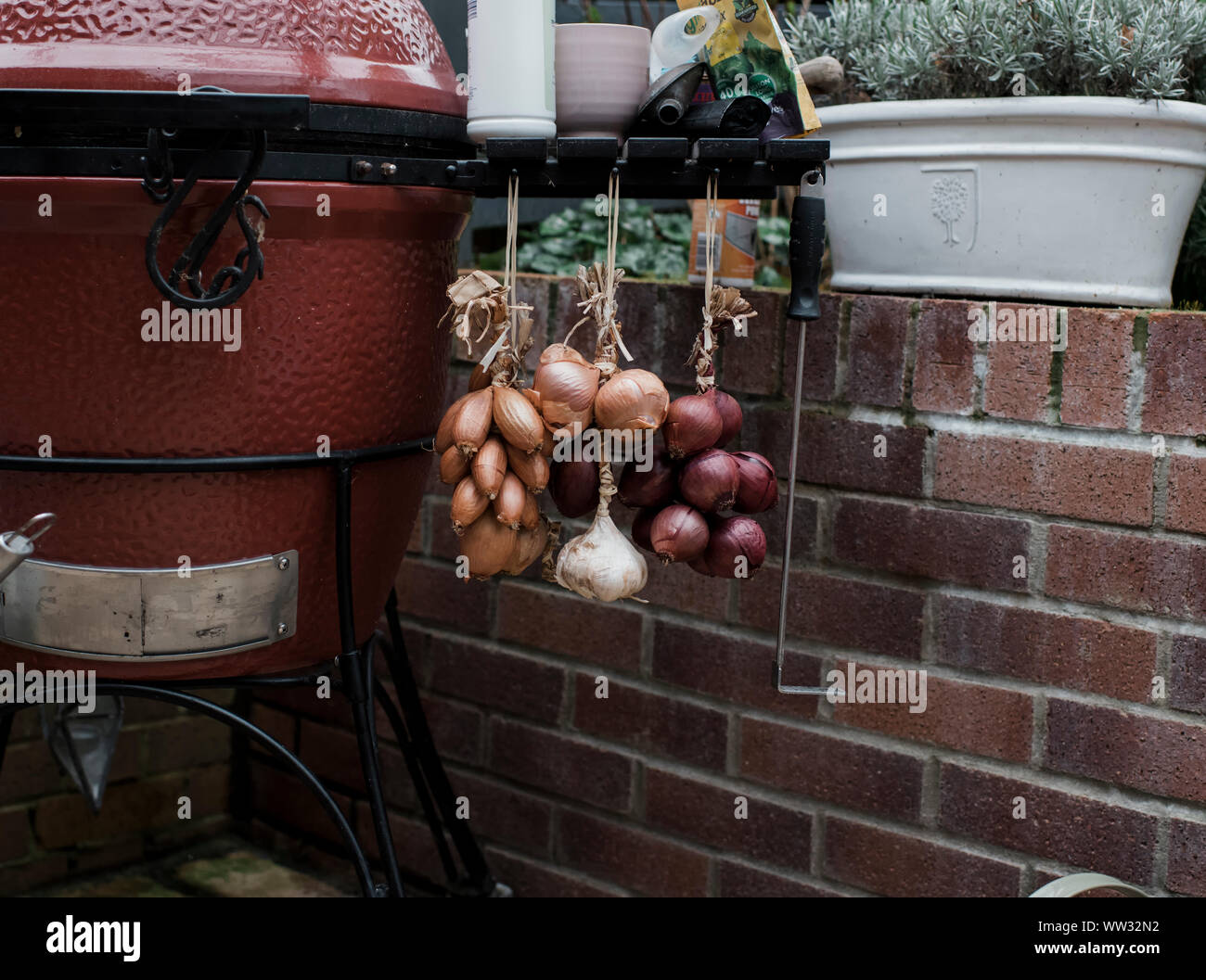 Cipolle e aglio appeso un barbecue in un paese di lingua inglese giardino Foto Stock