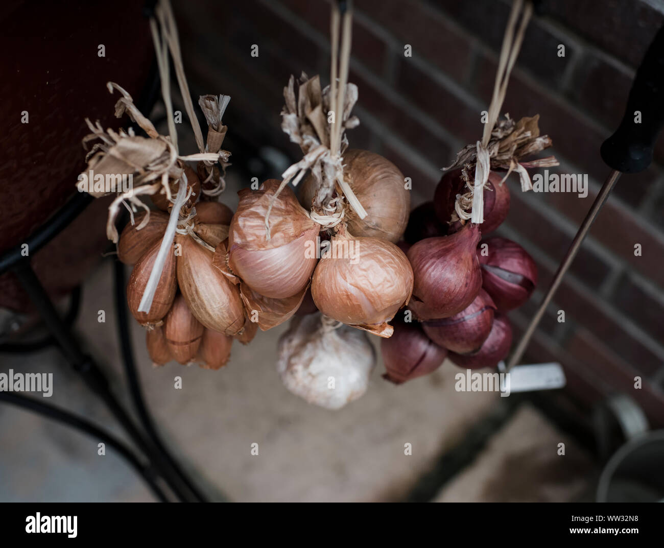 Close up di appendere l'aglio e cipolle al di fuori in un giardino inglese Foto Stock
