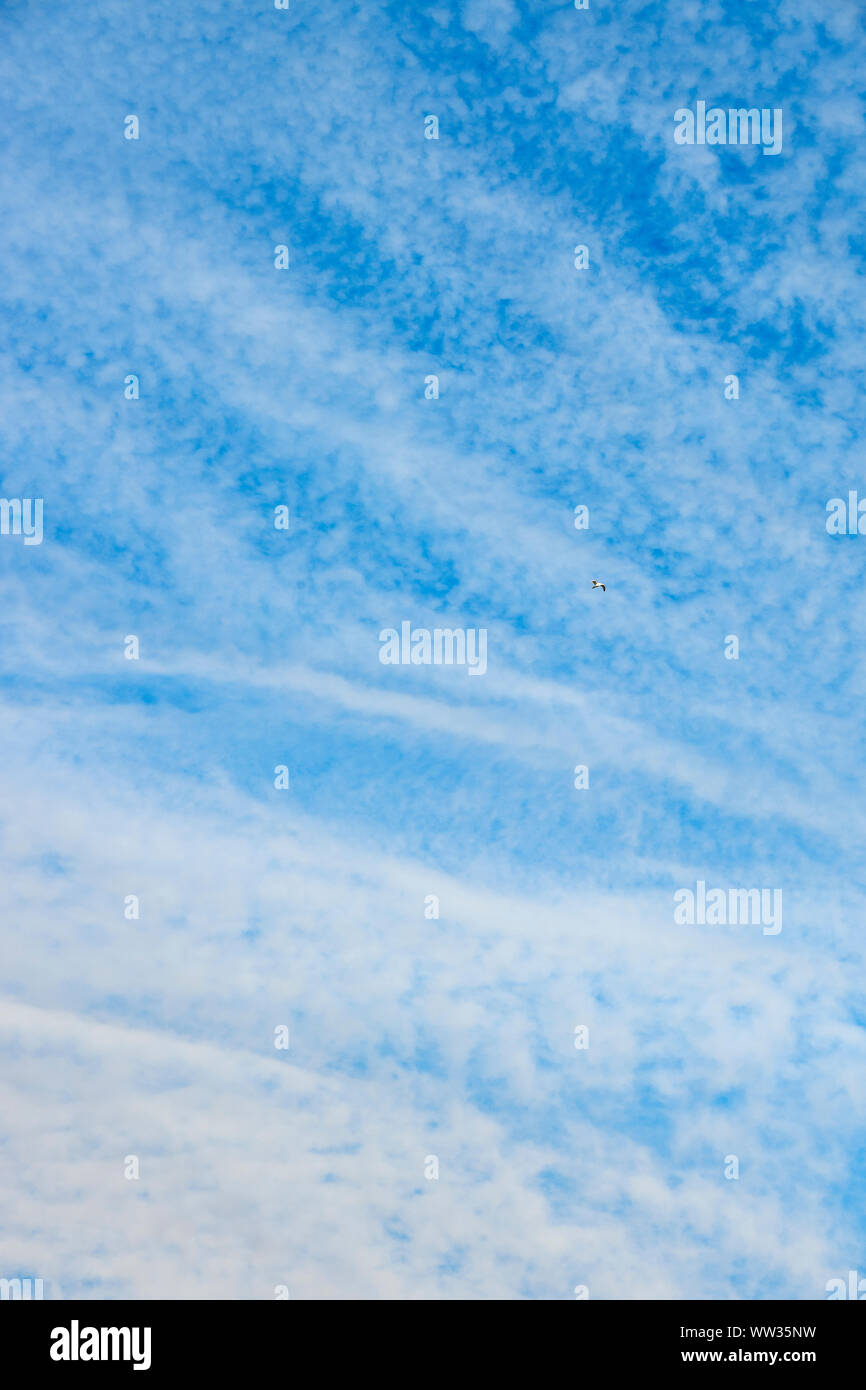 Un cielo blu con nuvole bianche Foto Stock