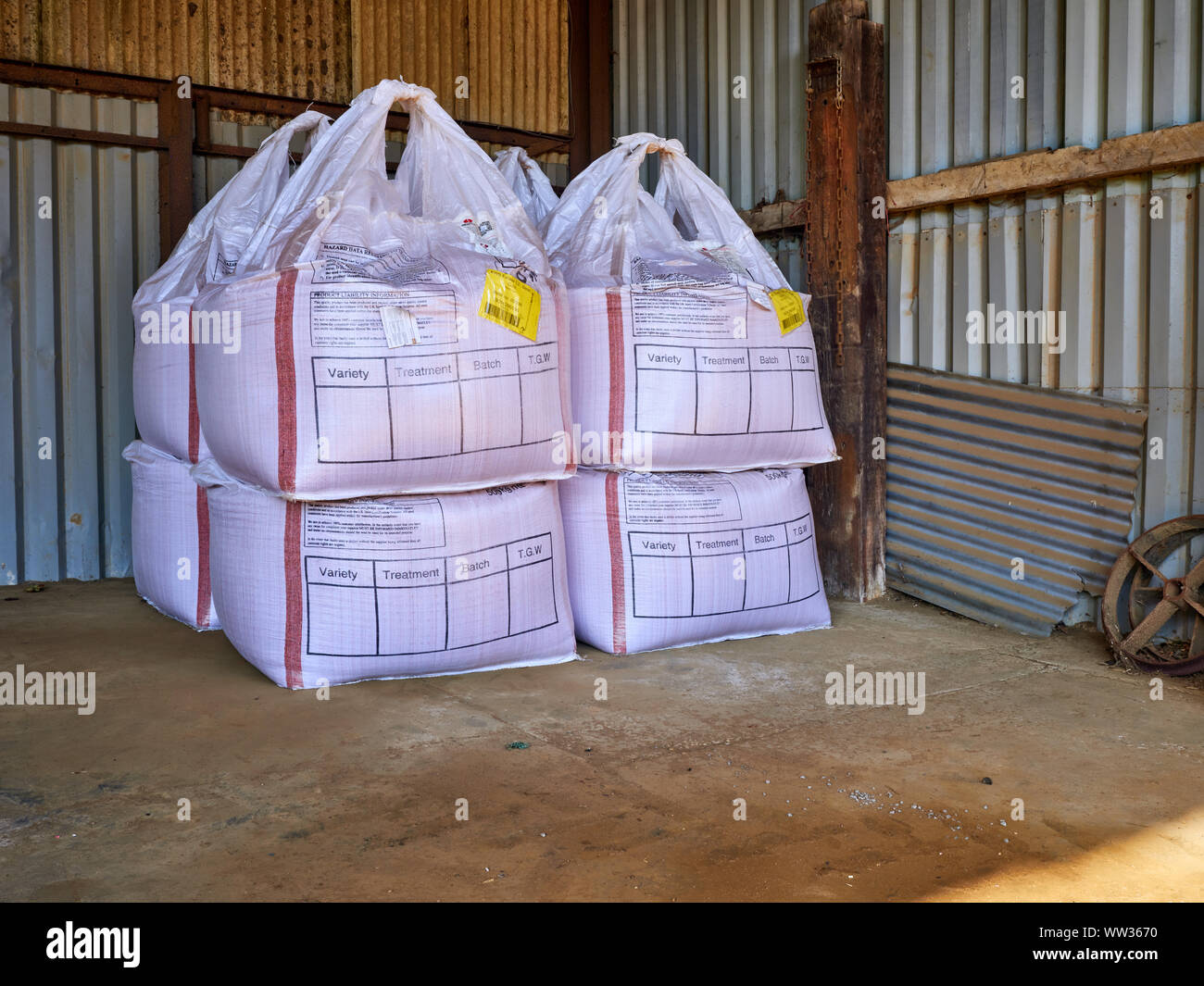 500kg di mezza tonnellata di sacchi di grano di inverno sementi in storage in azienda agricola capannone edificio agricolo Foto Stock