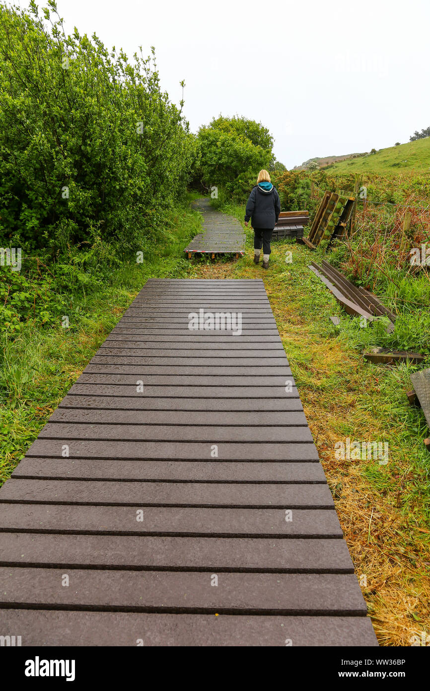 Una donna a piedi lungo una passerella in legno di essere riparato su un sentiero natura, San marciapiede essendo repairedMary, isole Scilly, Cornwall, Regno Unito Foto Stock