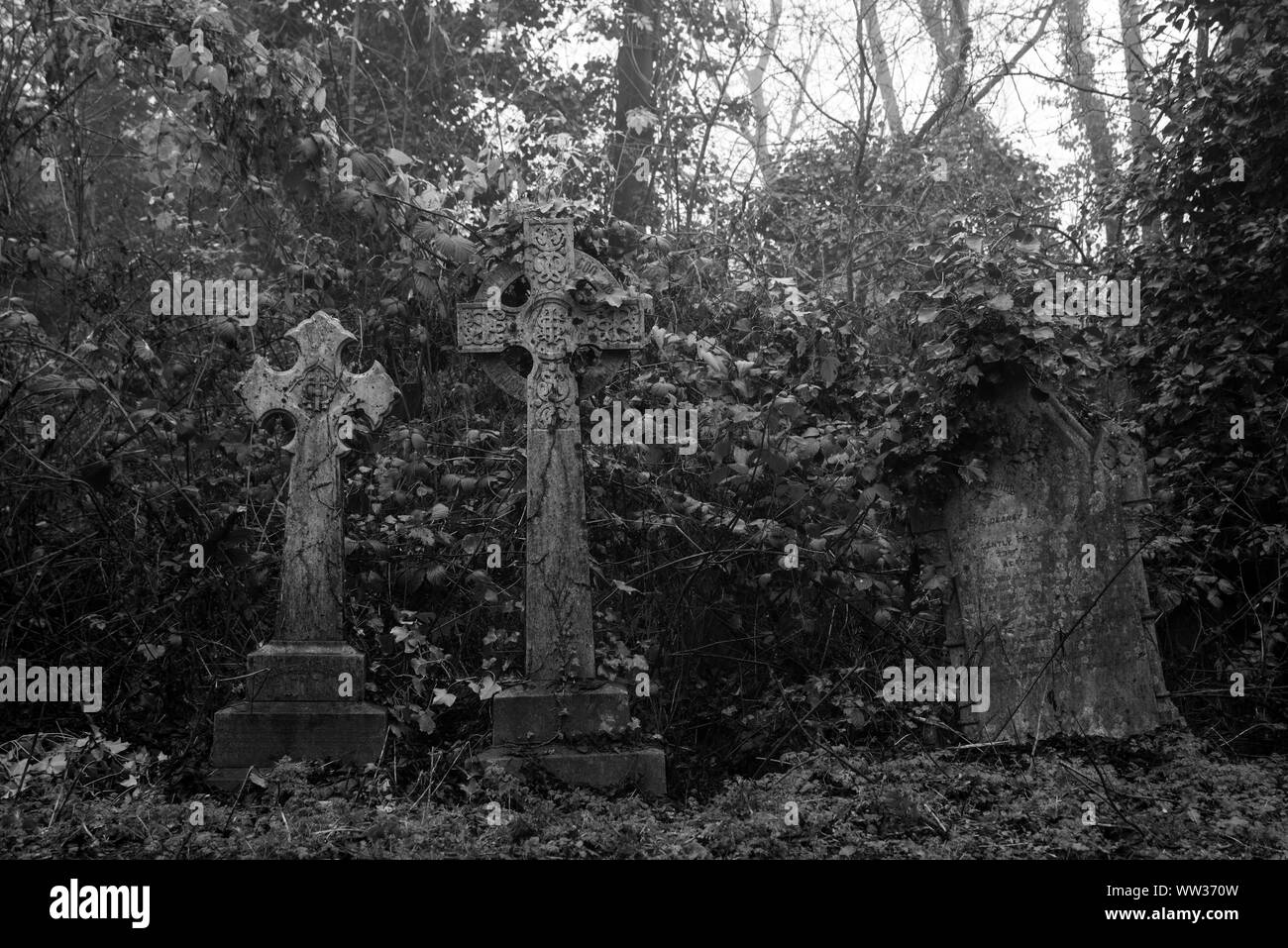 Incolto attraversa in un cimitero Vittoriano. Foto Stock
