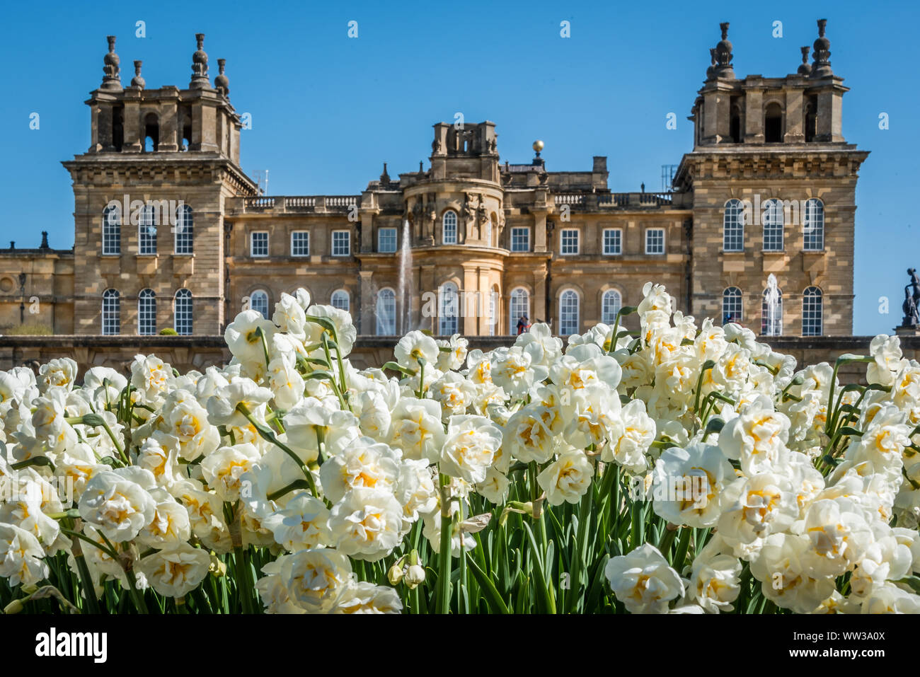 Primavera presso il Palazzo di Blenheim, Woodstock, Oxon, Regno Unito. Foto Stock