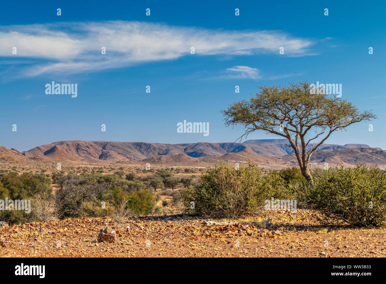 Il paesaggio del deserto, Namibia Foto Stock