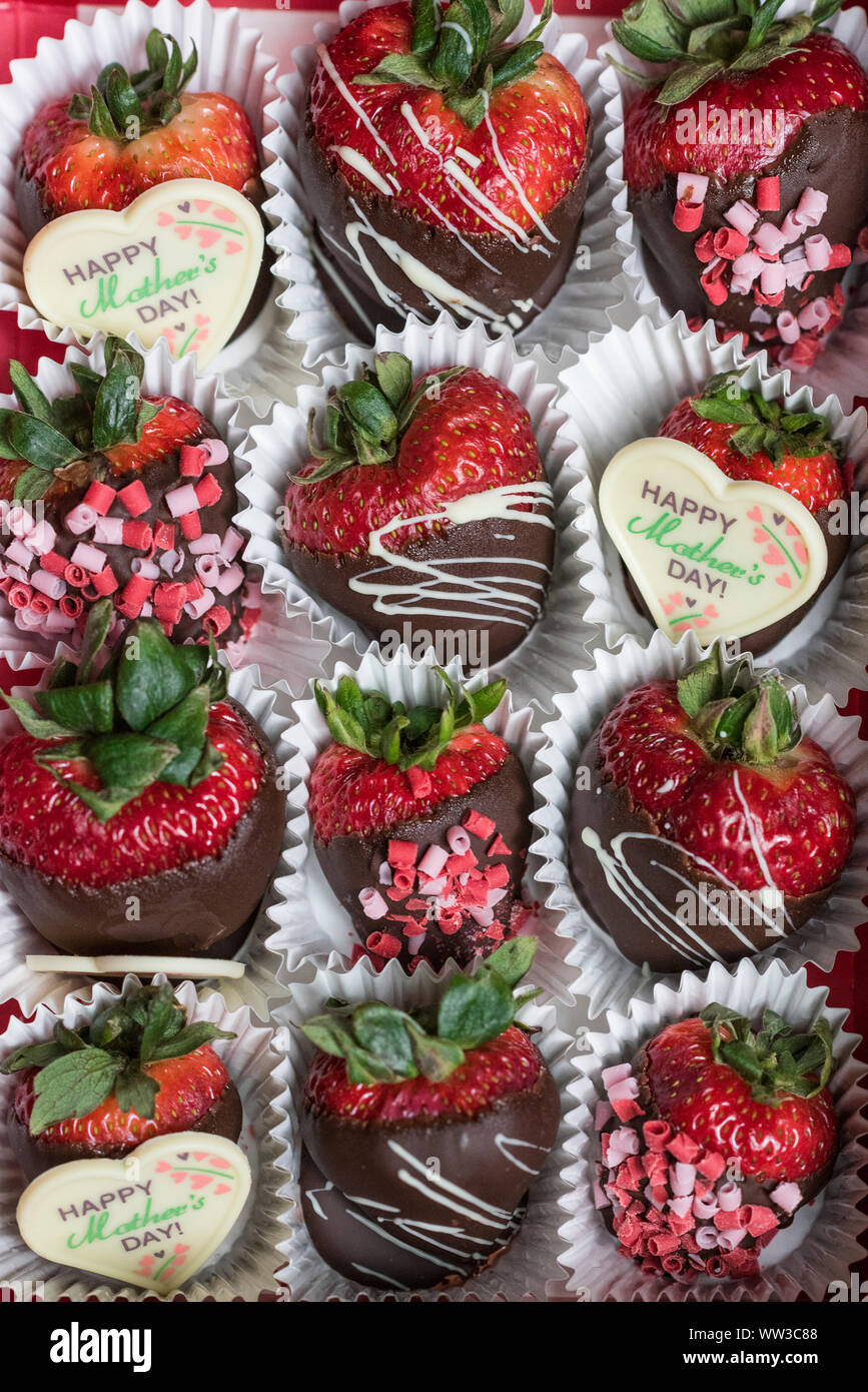 Fragole ricoperte di cioccolato la Festa della mamma regalo. Foto Stock