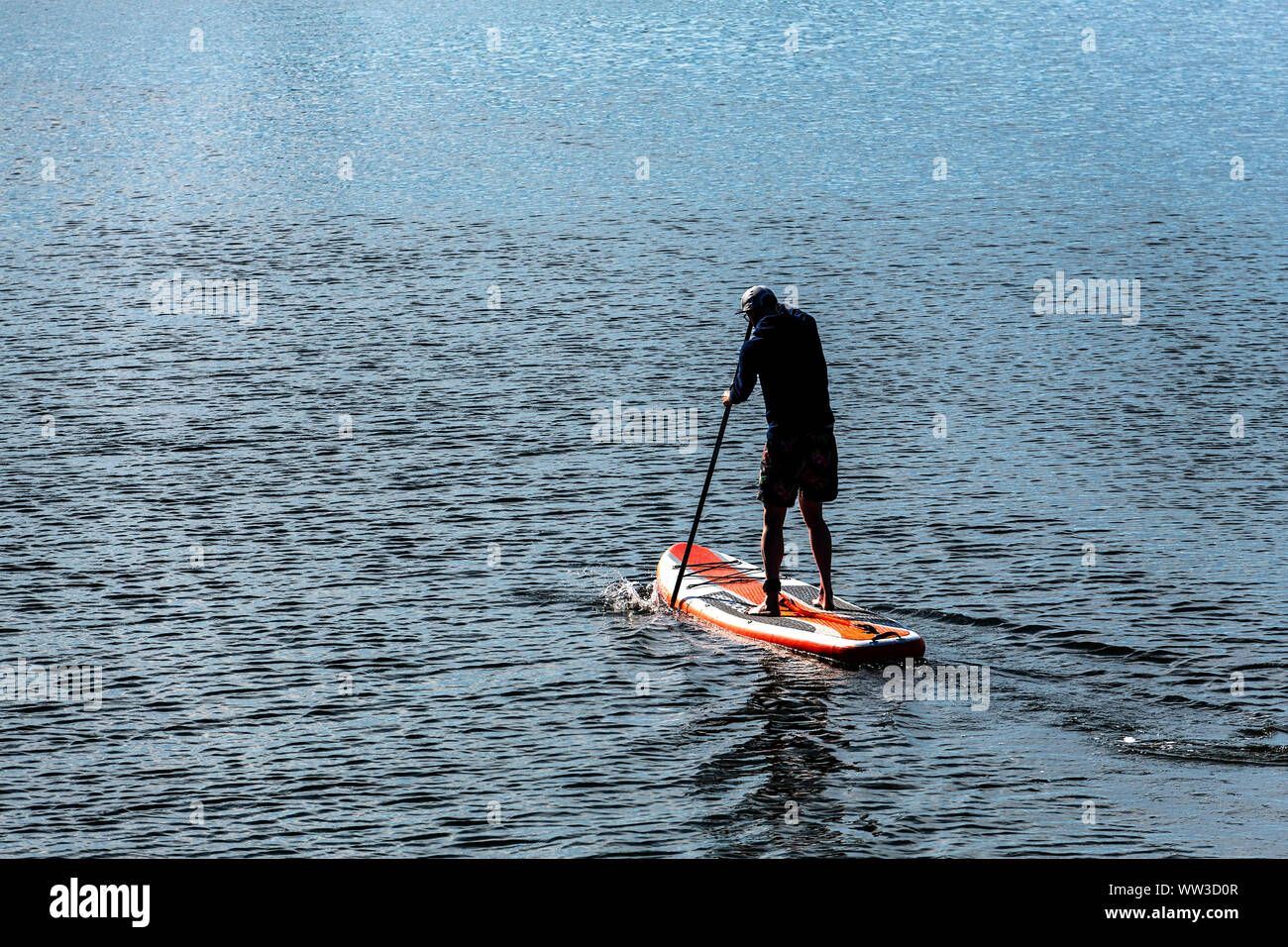 L'uomo imbarco su paddleboard, Cape Cod, Massachusetts, STATI UNITI D'AMERICA. Foto Stock