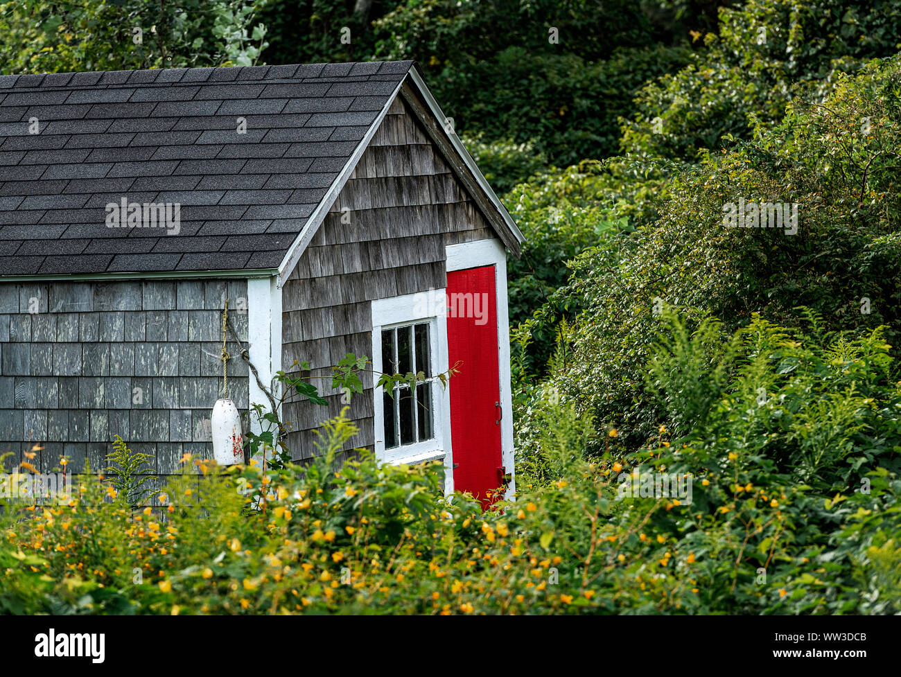 Rustico del pescatore shack, Chatham, Cape Cod, Massachusetts, STATI UNITI D'AMERICA. Foto Stock