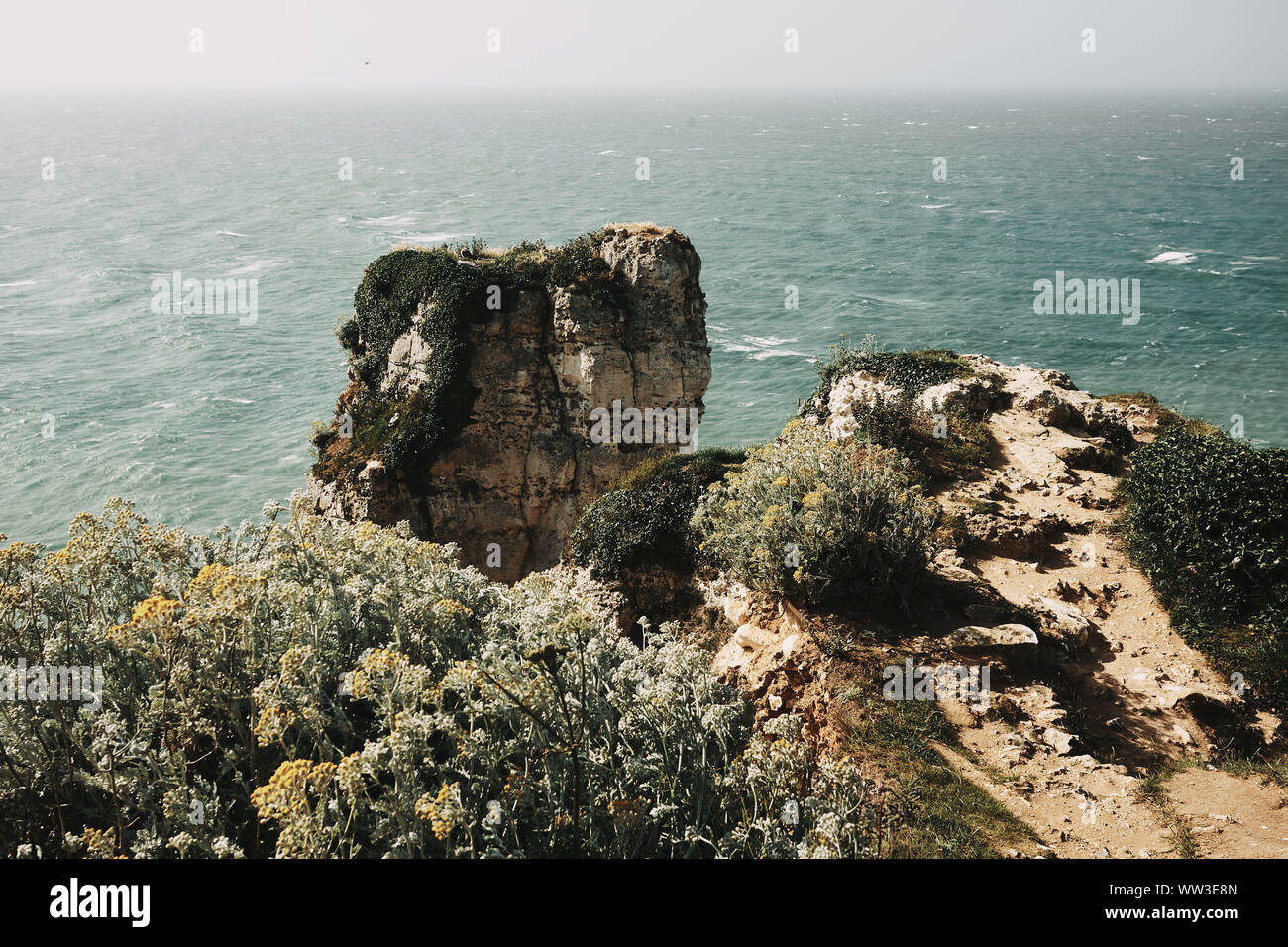 Splendide rocce di Normandia Foto Stock