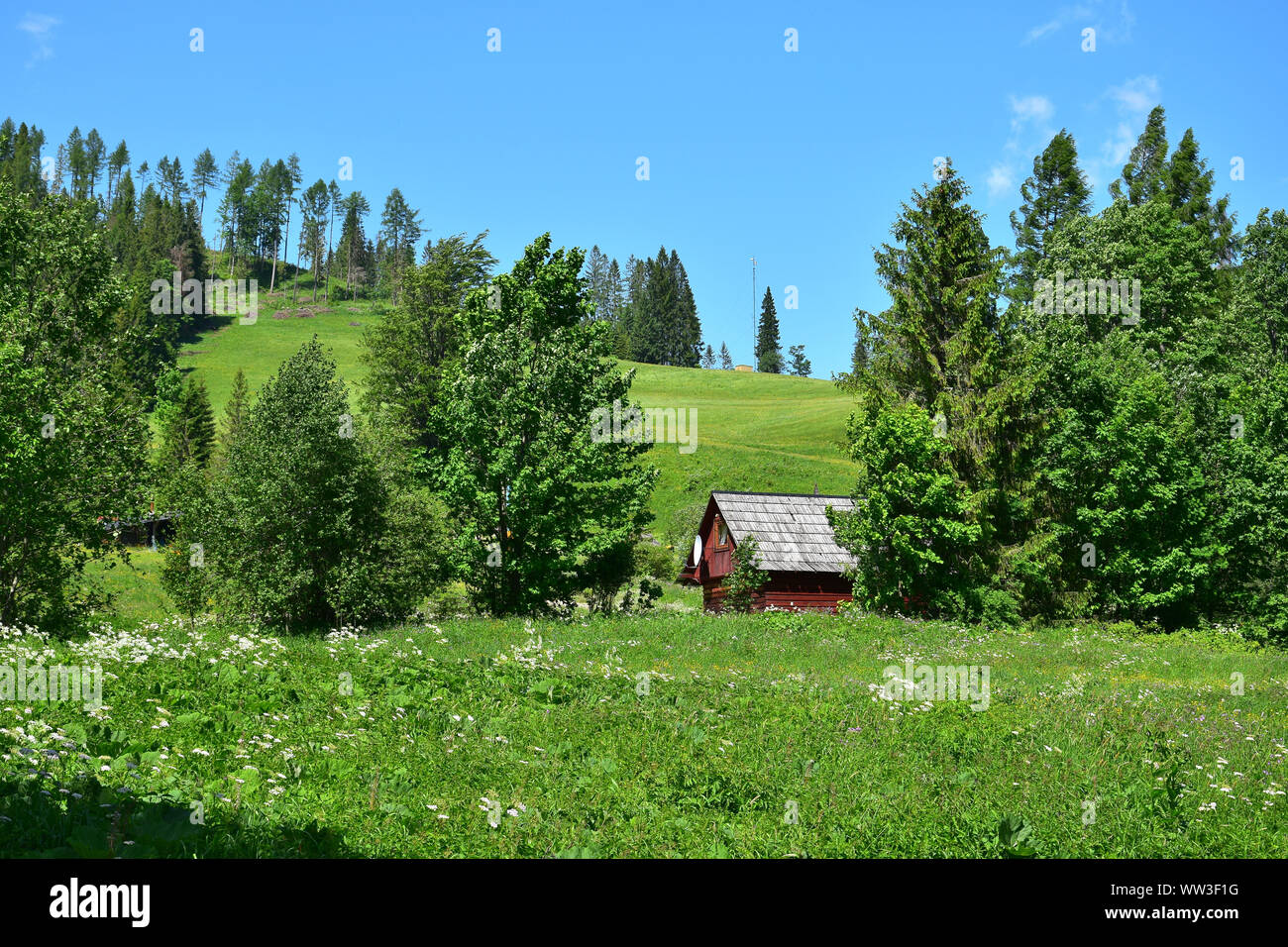 Bellissimo paesaggio nel Belianske Tatra con un prato fiorito e e una piccola casa in legno. La Slovacchia, vicino a Tatranska Javorina. Foto Stock