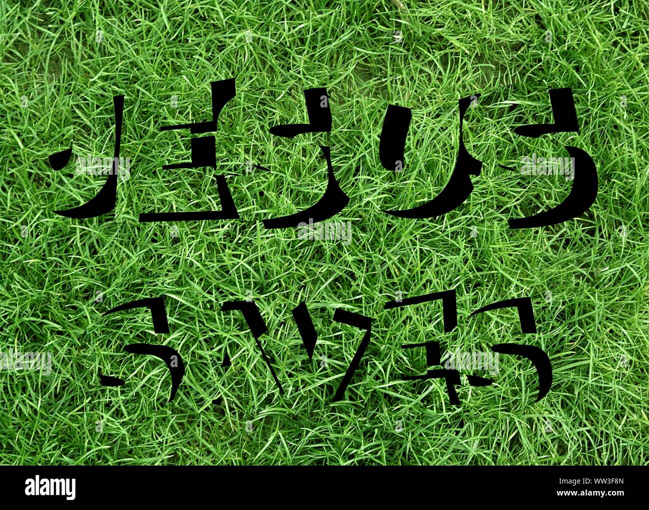 Gesù vive Gesù salva e il pesce icthus il segno per i credenti Foto Stock