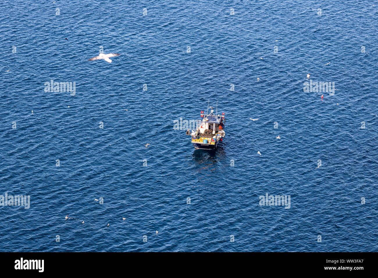 Piccola barca da pesca raccogliendo le reti e seagull intorno in RSPB Sumburgh Head, Continentale, le isole Shetland, Scotland, Regno Unito Foto Stock