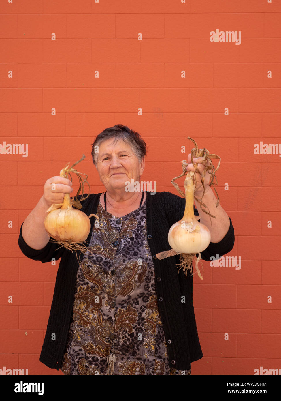 Vecchia donna mostra il suo cresciuto in casa le cipolle, Galizia, Spagna Foto Stock