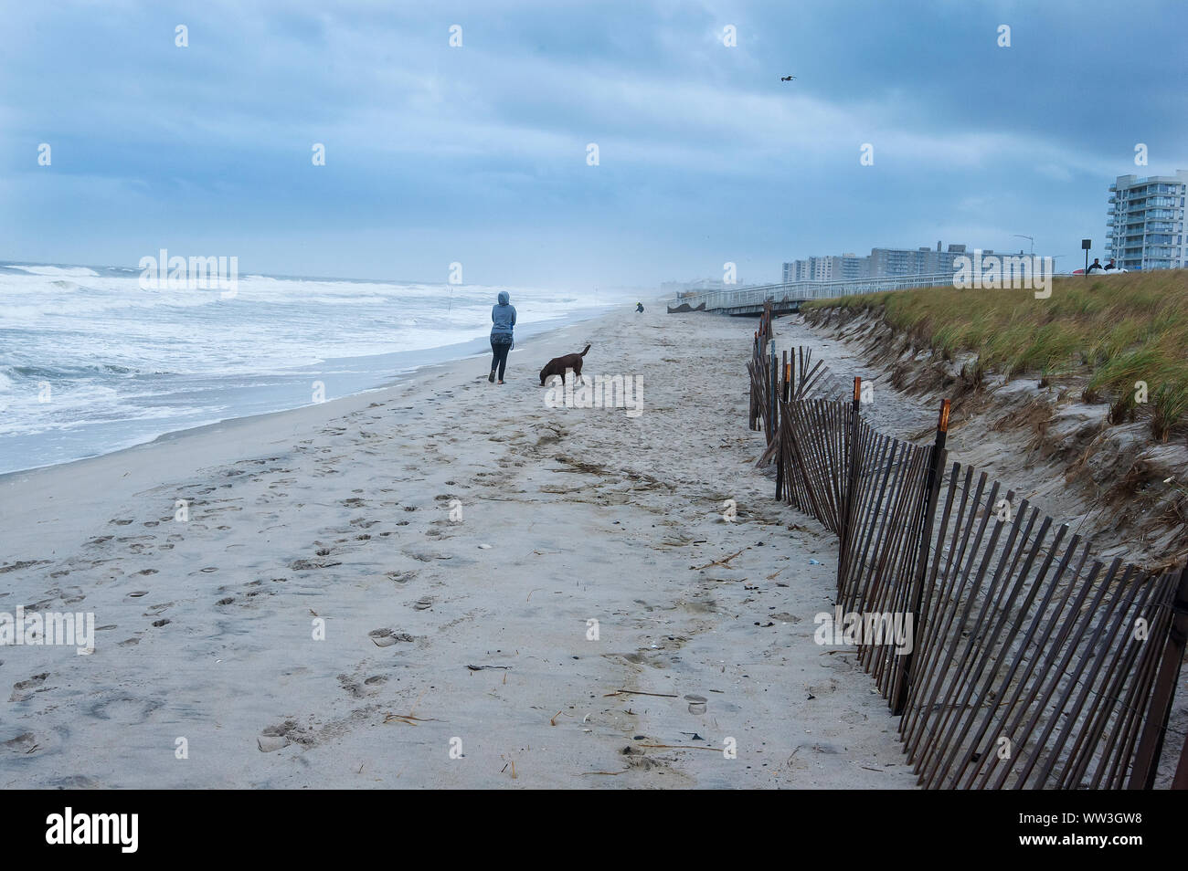 Persona cane a camminare sulla spiaggia nuvoloso giorno Foto Stock