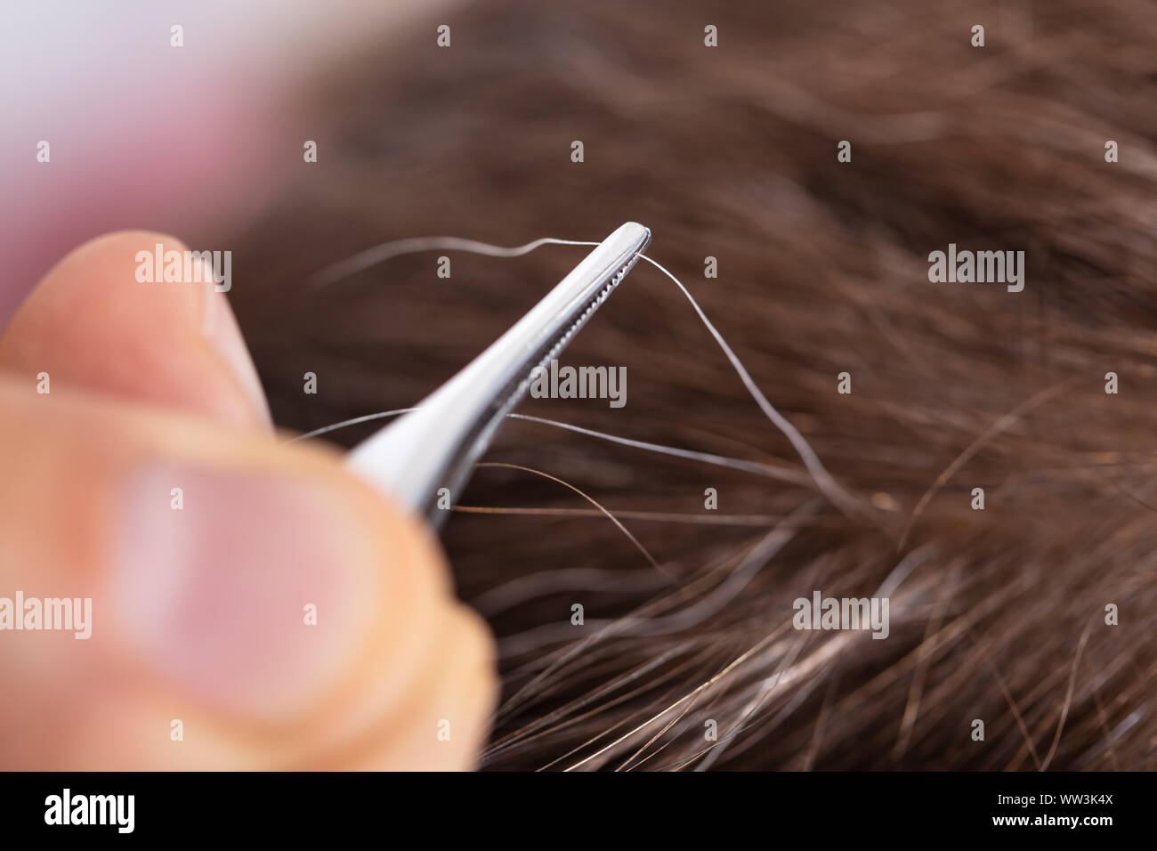 Close-up di spiumatura a mano i capelli grigi con le pinzette Foto Stock