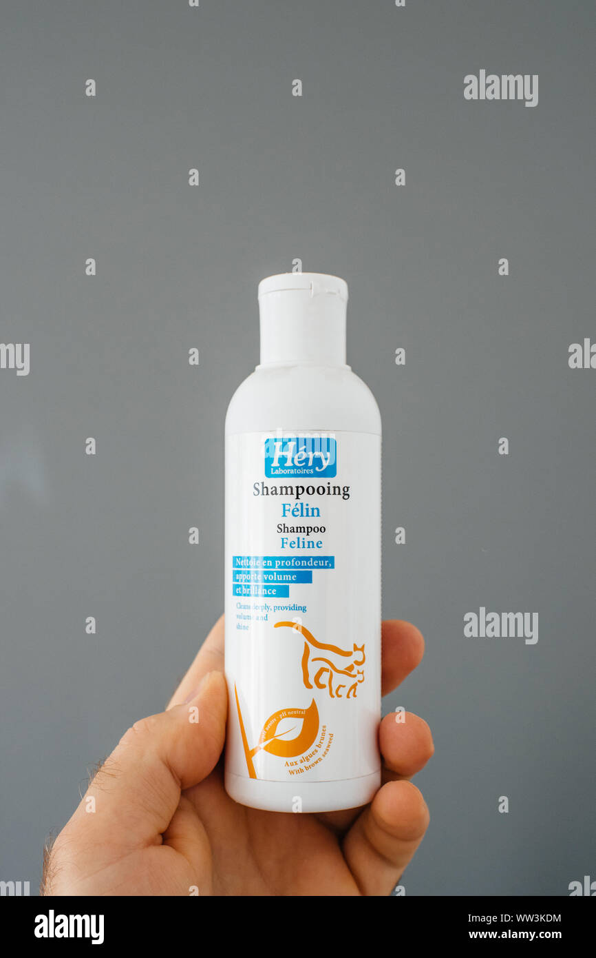Parigi, Francia - Apr 15, 2018: man mano che trattiene il prodotto vet contro uno sfondo grigio - Hery shampoo Cat Foto Stock