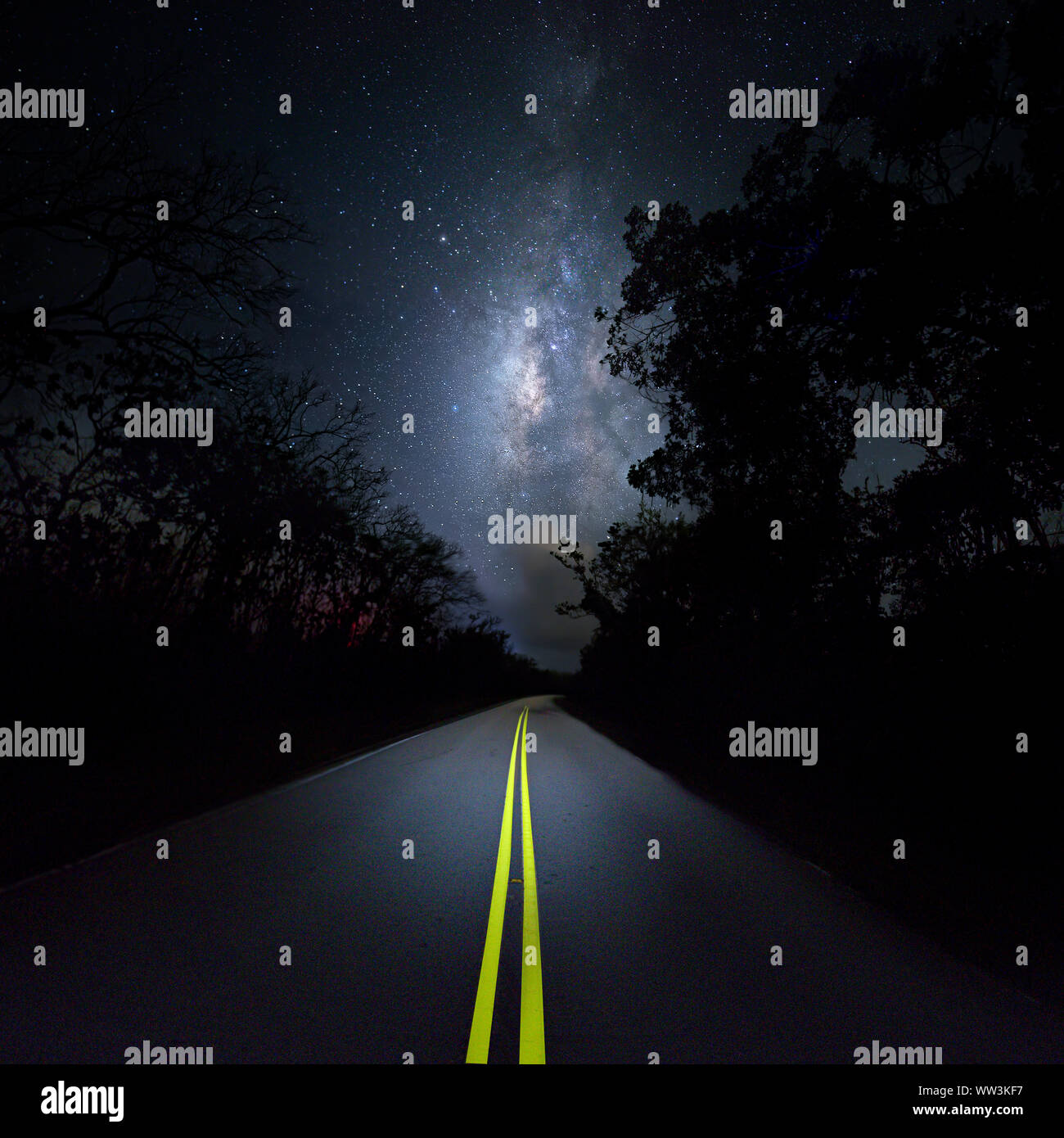 Una strada panoramica che conduce fuori nella distanza in Everglades National Park su una chiara e stellata notte d'estate. Foto Stock