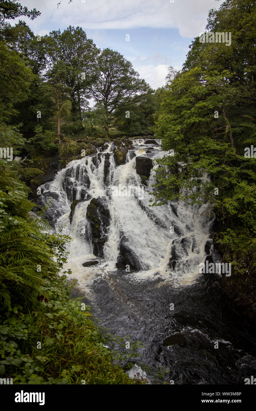 Swallow Falls cascata, Parco Nazionale di Snowdonia, Betws-y-coed Foto Stock