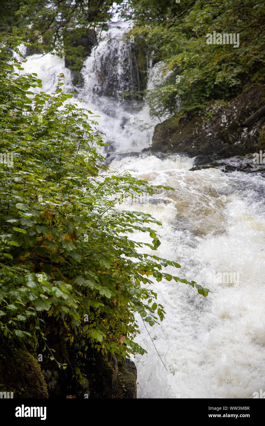Swallow Falls cascata, Parco Nazionale di Snowdonia, Betws-y-coed Foto Stock
