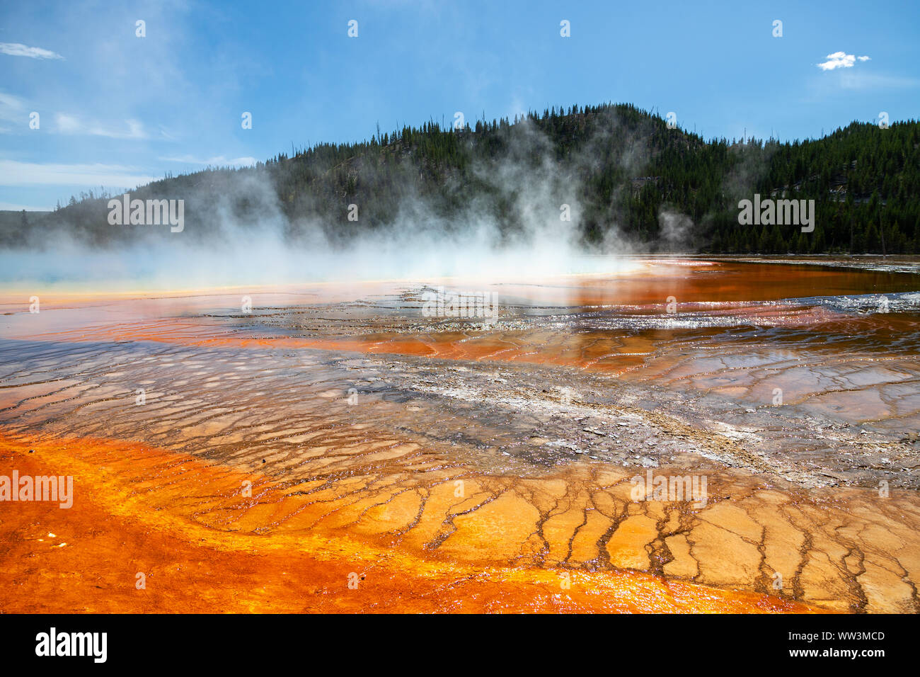 Vapore sorge il Grand Prismatic Spring nel Parco Nazionale di Yellowstone. È il più grande primavera calda al Parco Nazionale di Yellowstone con 200-330 piedi Foto Stock