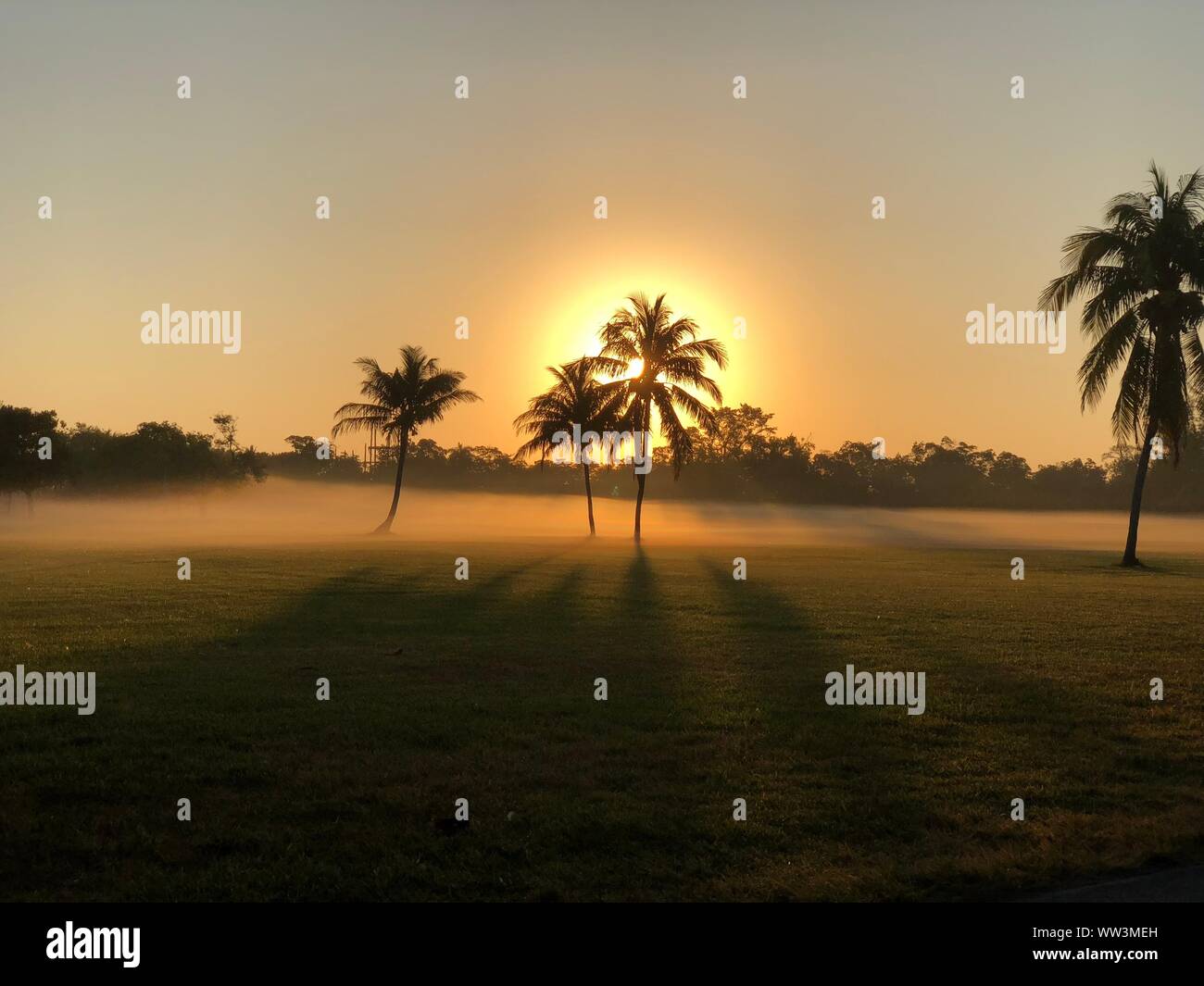 Mattina di sole a Miami Foto Stock