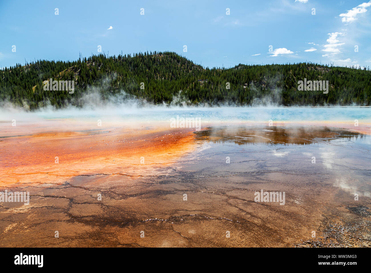 Vapore sorge il Grand Prismatic Spring nel Parco Nazionale di Yellowstone. È il più grande primavera calda al Parco Nazionale di Yellowstone con 200-330 piedi Foto Stock