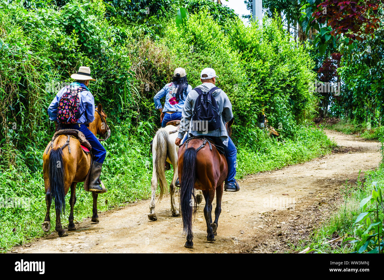Vista su persone facendo trekking a cavallo in Colombia Foto Stock