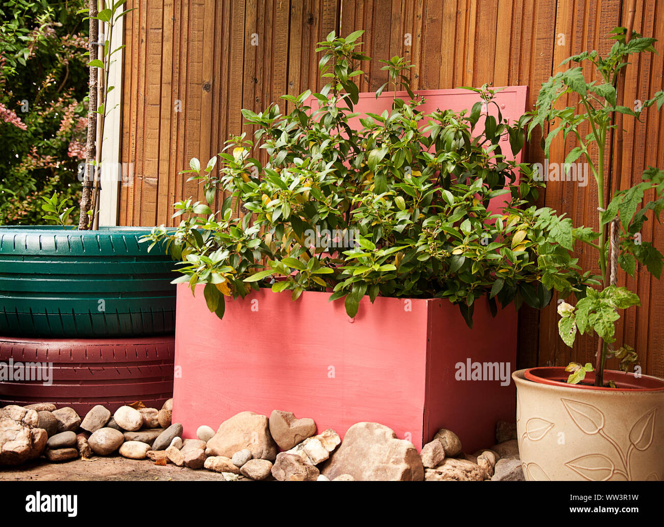 Dipinto armadio cate pneumatici piante pietre cuore pareti in legno  da jziprian Foto Stock